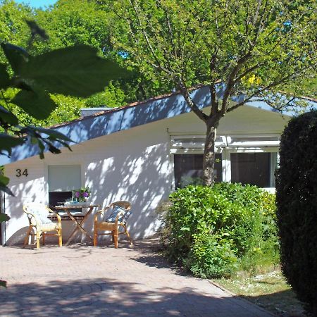 Vakantiehuis La petite Redousse Renesse Extérieur photo